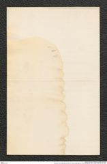 Nachlass Franz Steindachner, Brief von Franz Liechtenstern an Franz Steindachner (23.04.1882), Inv.Nr. 303.04, Seite 4